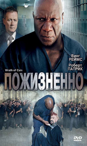 Скачать фильм Пожизненно / Гнев Каина DVDRip без регистрации