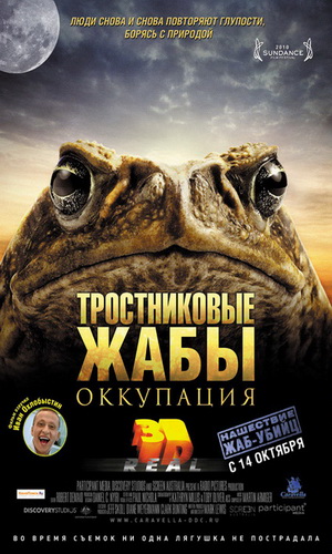 Скачать фильм Тростниковые жабы: Оккупация DVDRip без регистрации