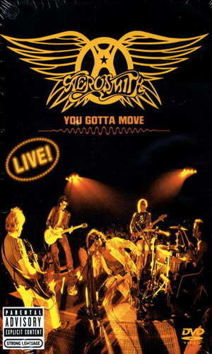 Скачать фильм Aerosmith - You Gotta Move (Live!) DVDRip без регистрации