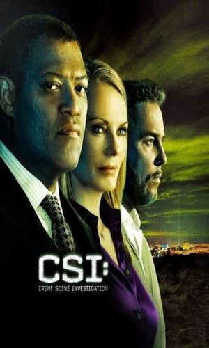 Скачать фильм Место преступления: Лас-Вегас / C.S.I. Место преступления DVDRip без регистрации