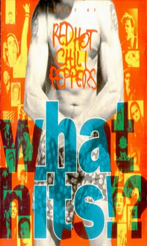 Скачать фильм РХЧП Red Hot Chili Peppers - What Hits DVDRip без регистрации